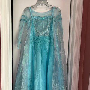 Disney Elsa Dress